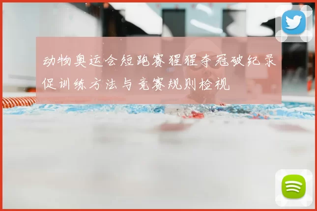 动物奥运会短跑赛猩猩夺冠破纪录促训练方法与竞赛规则检视