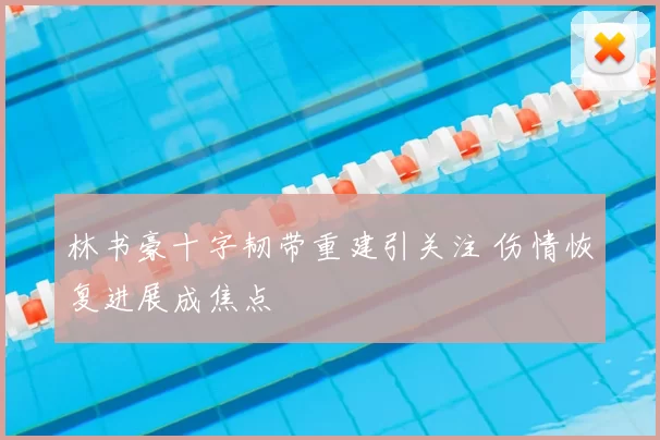 林书豪十字韧带重建引关注 伤情恢复进展成焦点